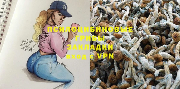 дмт Бородино