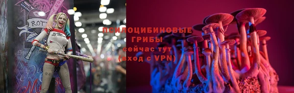 дмт Бородино