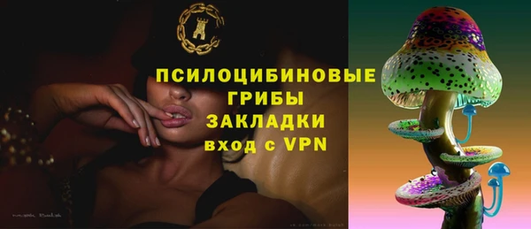 шишки Бугульма