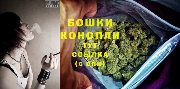 шишки Бугульма