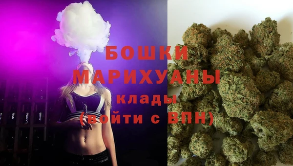дмт Бородино
