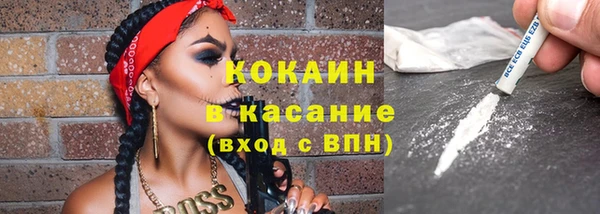 дмт Бородино