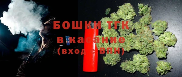 дмт Бородино