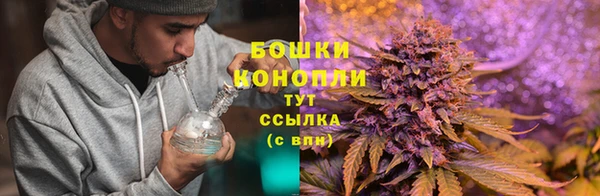 дмт Бородино